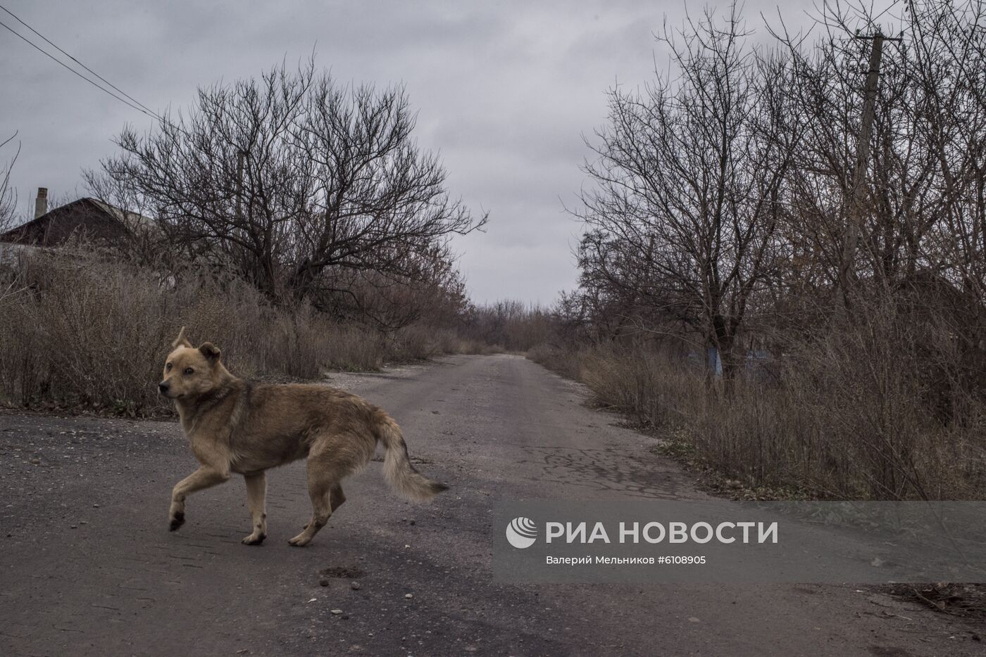 Ситуация в Донецкой области