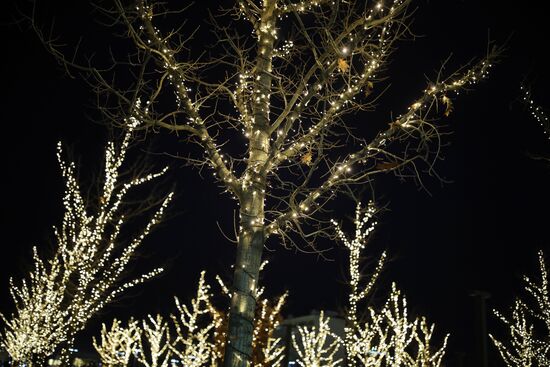 Новогоднее украшение парка "Краснодар"