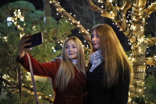 Новогоднее украшение парка "Краснодар"