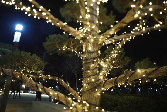 Новогоднее украшение парка "Краснодар"