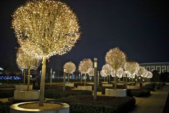 Новогоднее украшение парка "Краснодар"