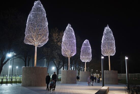 Новогоднее украшение парка "Краснодар"