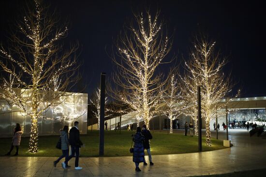 Новогоднее украшение парка "Краснодар"