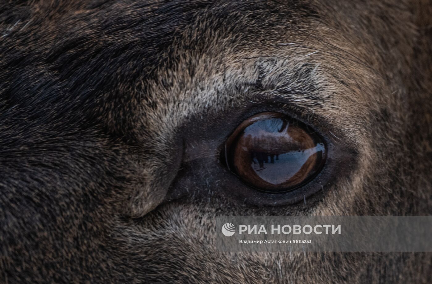 Национальный парк "Зюраткуль" в Челябинской области