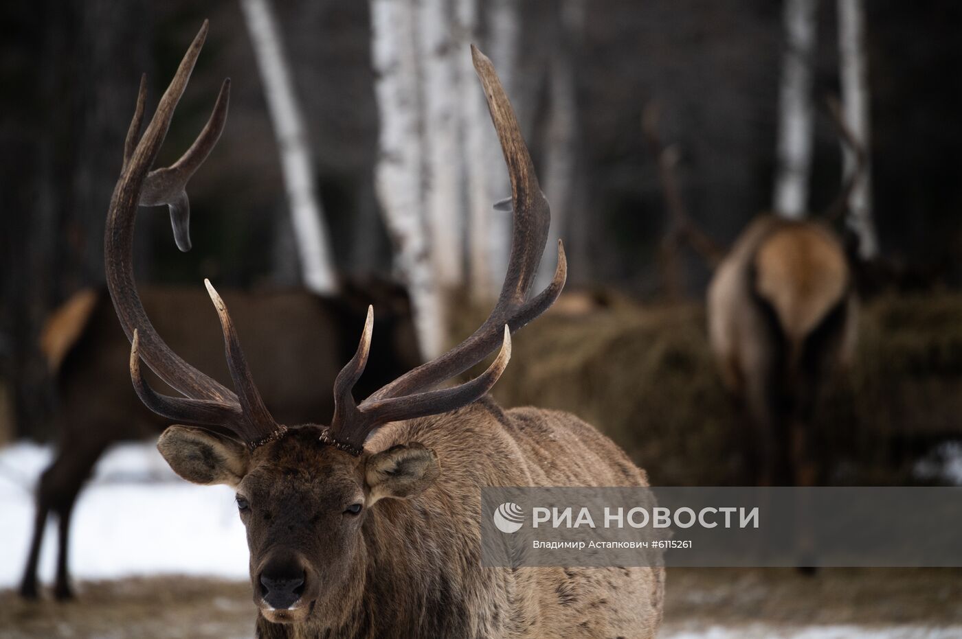 Национальный  парк "Зюраткуль" в Челябинской области