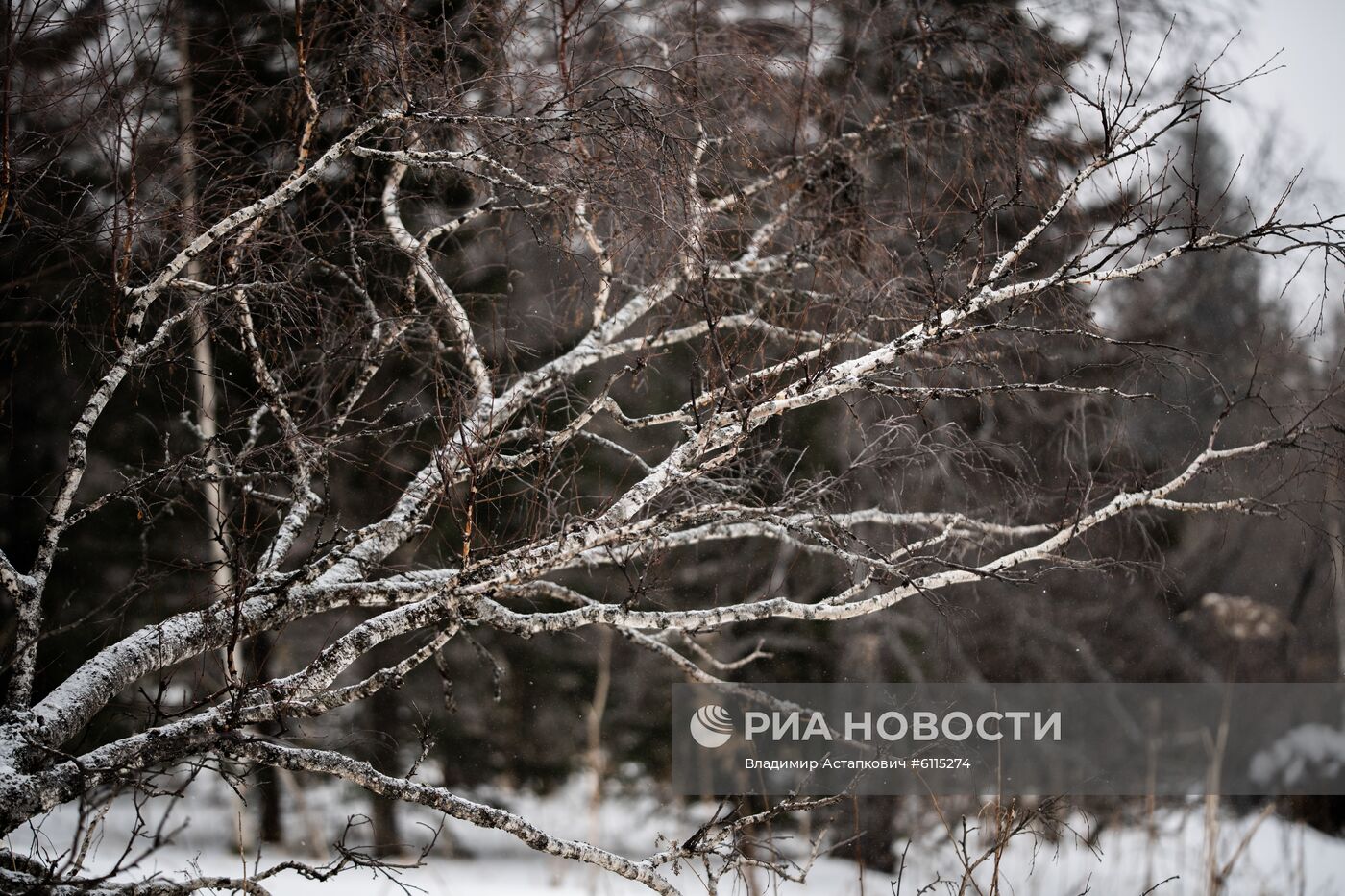 Национальный  парк "Зюраткуль" в Челябинской области