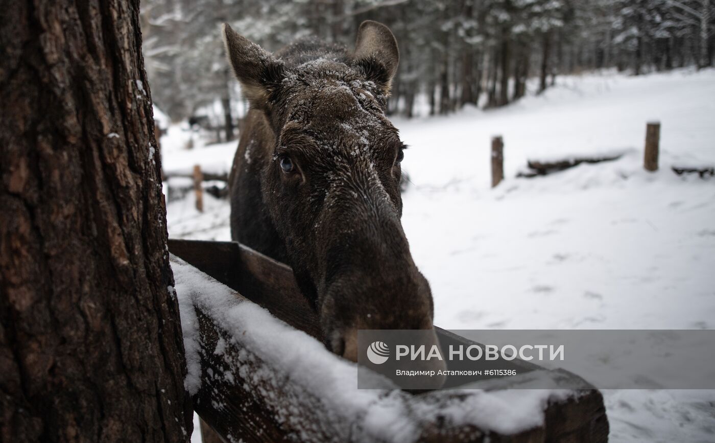 Национальный  парк "Зюраткуль" в Челябинской области