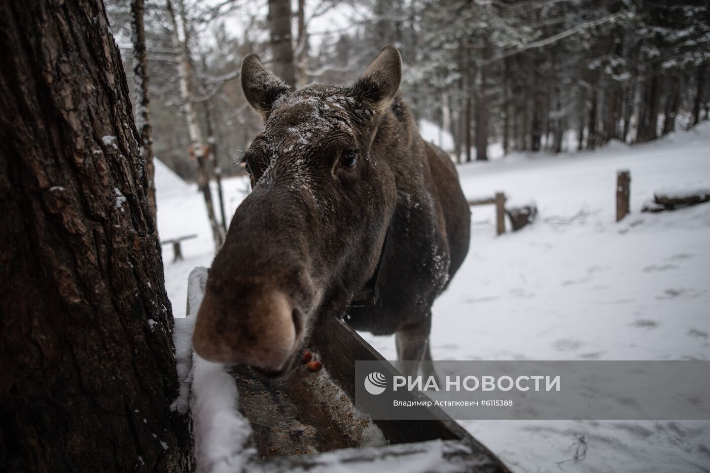 Национальный  парк "Зюраткуль" в Челябинской области