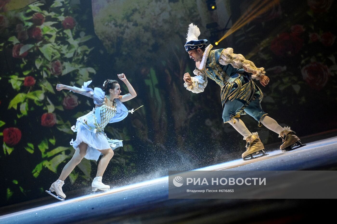 Шоу Т. Навки "Спящая красавица. Легенда двух королевств"