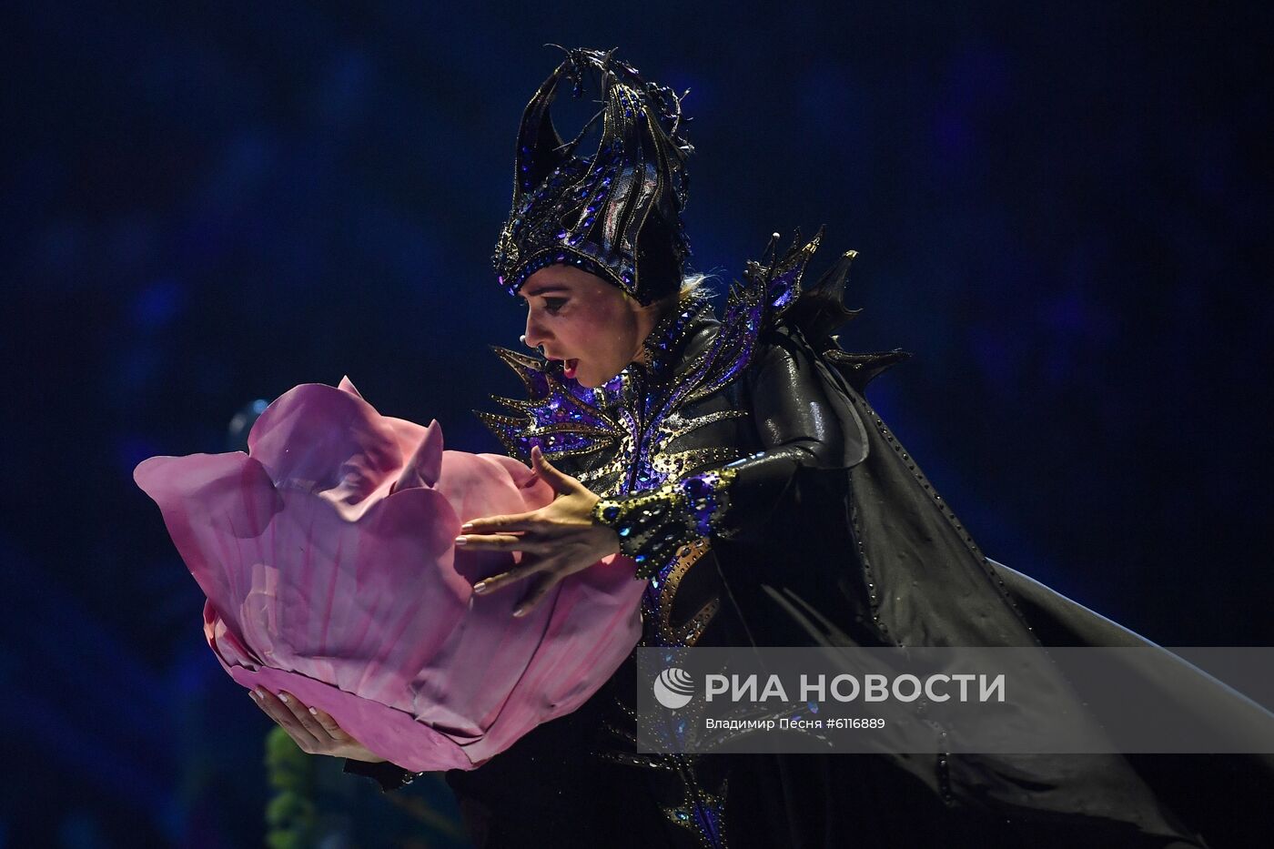 Шоу Т. Навки "Спящая красавица. Легенда двух королевств"