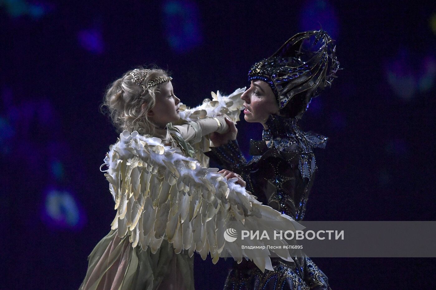 Шоу Т. Навки "Спящая красавица. Легенда двух королевств"