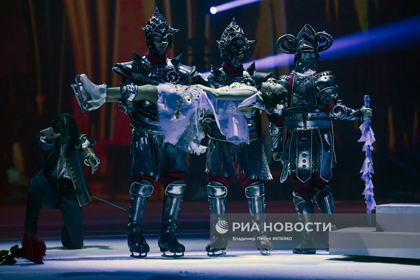 Шоу Т. Навки "Спящая красавица. Легенда двух королевств"