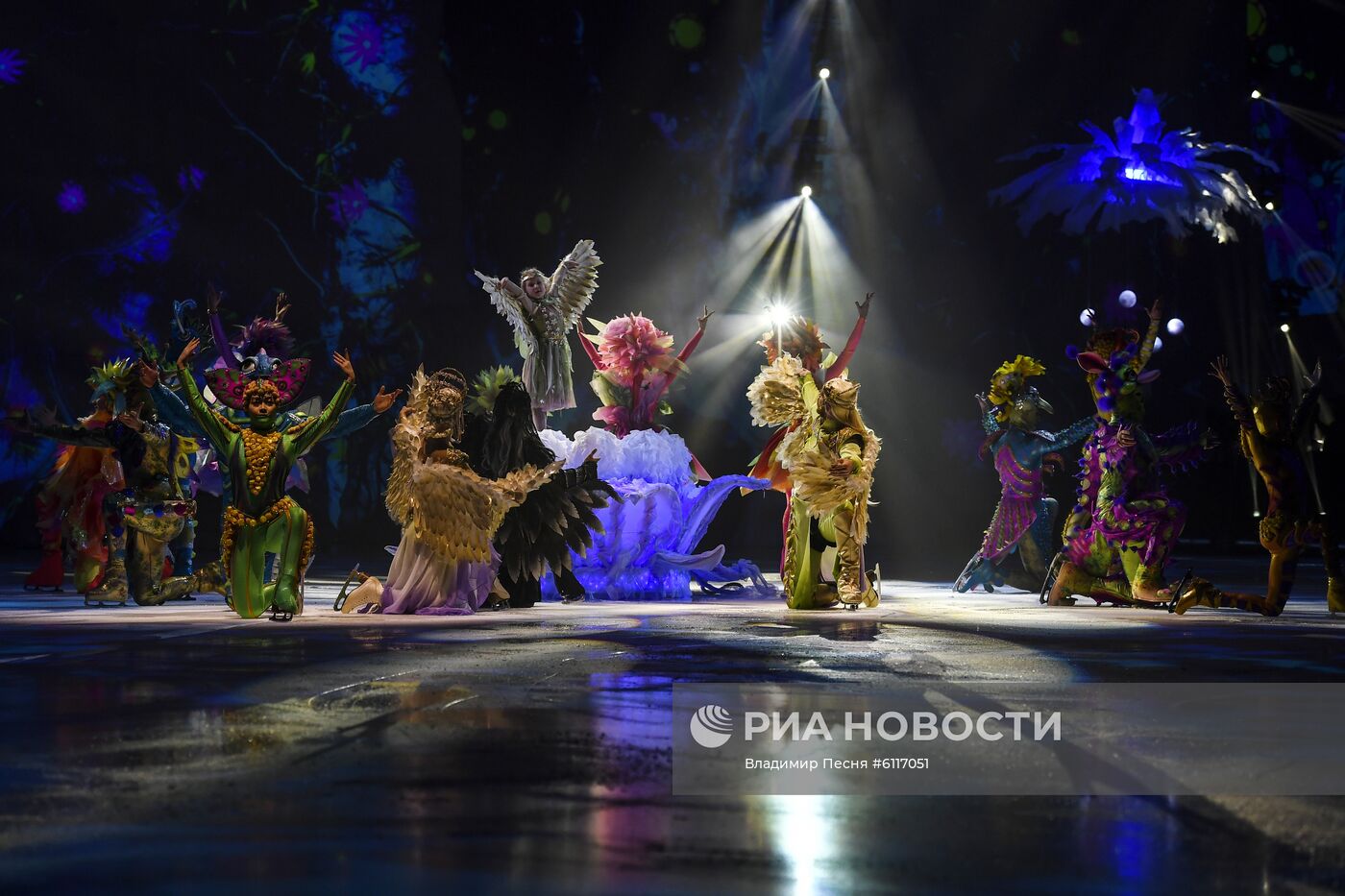 Шоу Т. Навки "Спящая красавица. Легенда двух королевств"