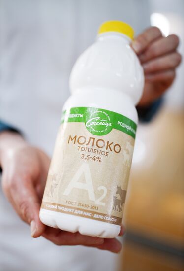 Производство молочной продукции "Моя станица" в Краснодарском крае