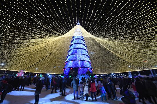 Открытие главной городской елки в Казани