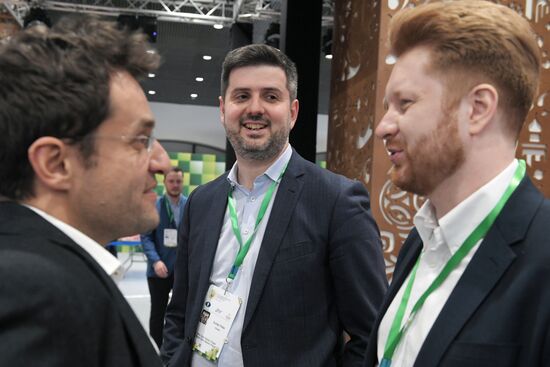 Шахматы. Чемпионат мира. Рапид