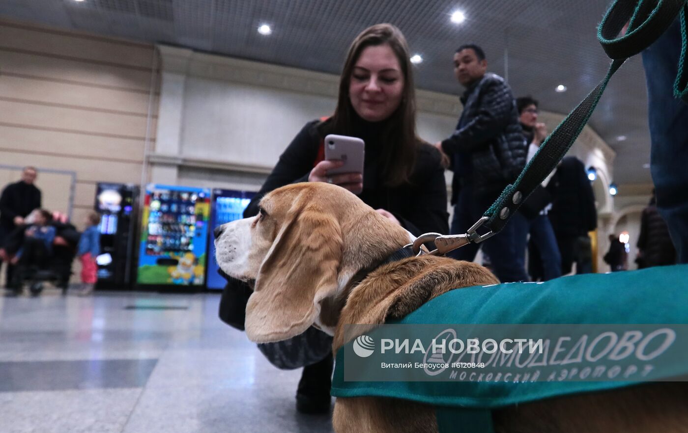 Акция "Обними друга перед полетом" в Домодедово