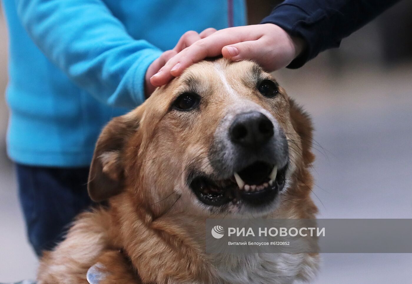 Акция "Обними друга перед полетом" в Домодедово