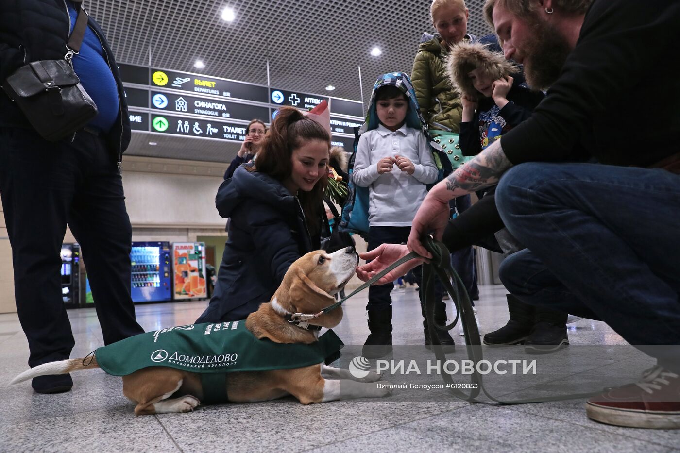 Акция "Обними друга перед полетом" в Домодедово