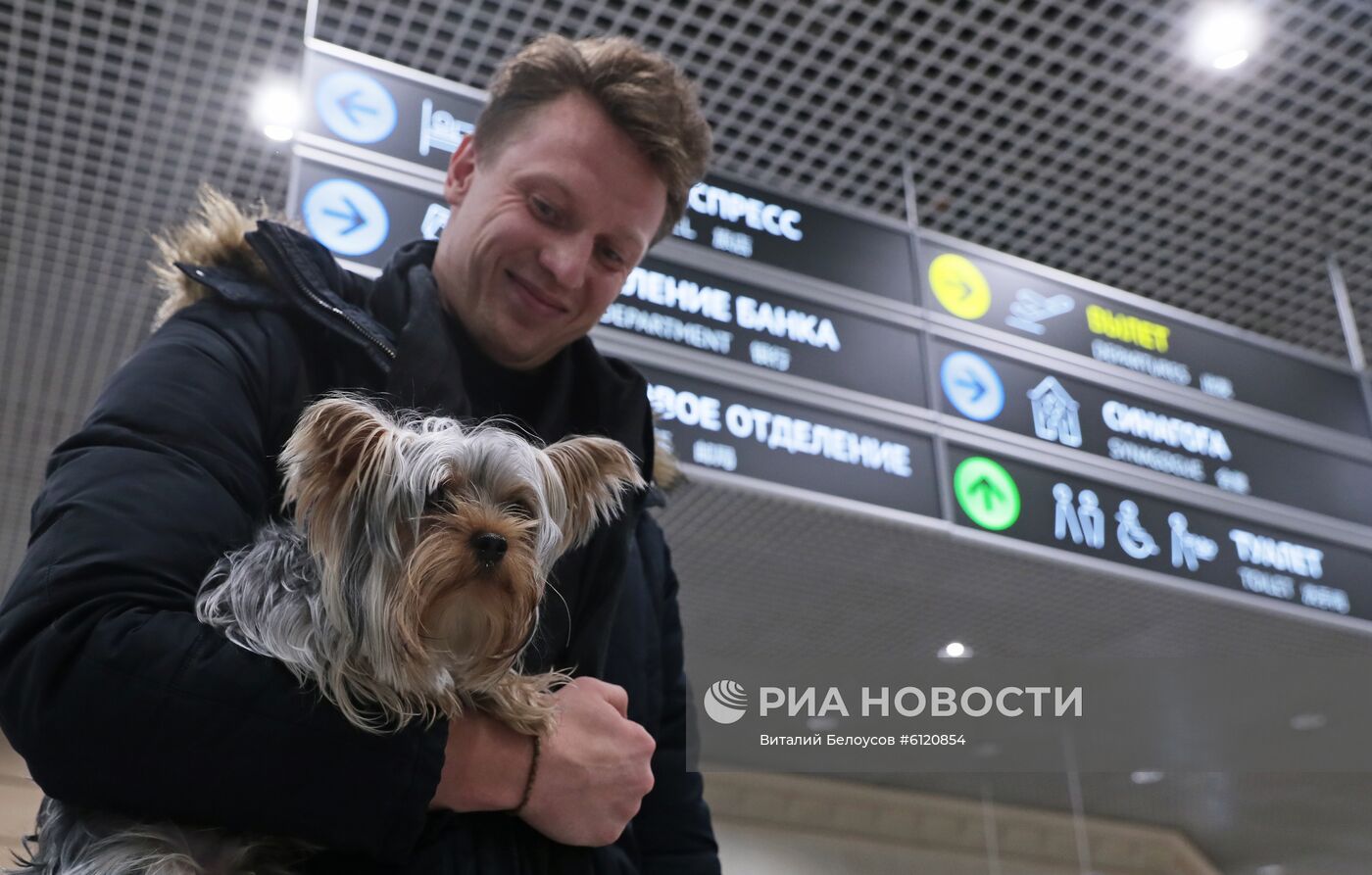 Акция "Обними друга перед полетом" в Домодедово