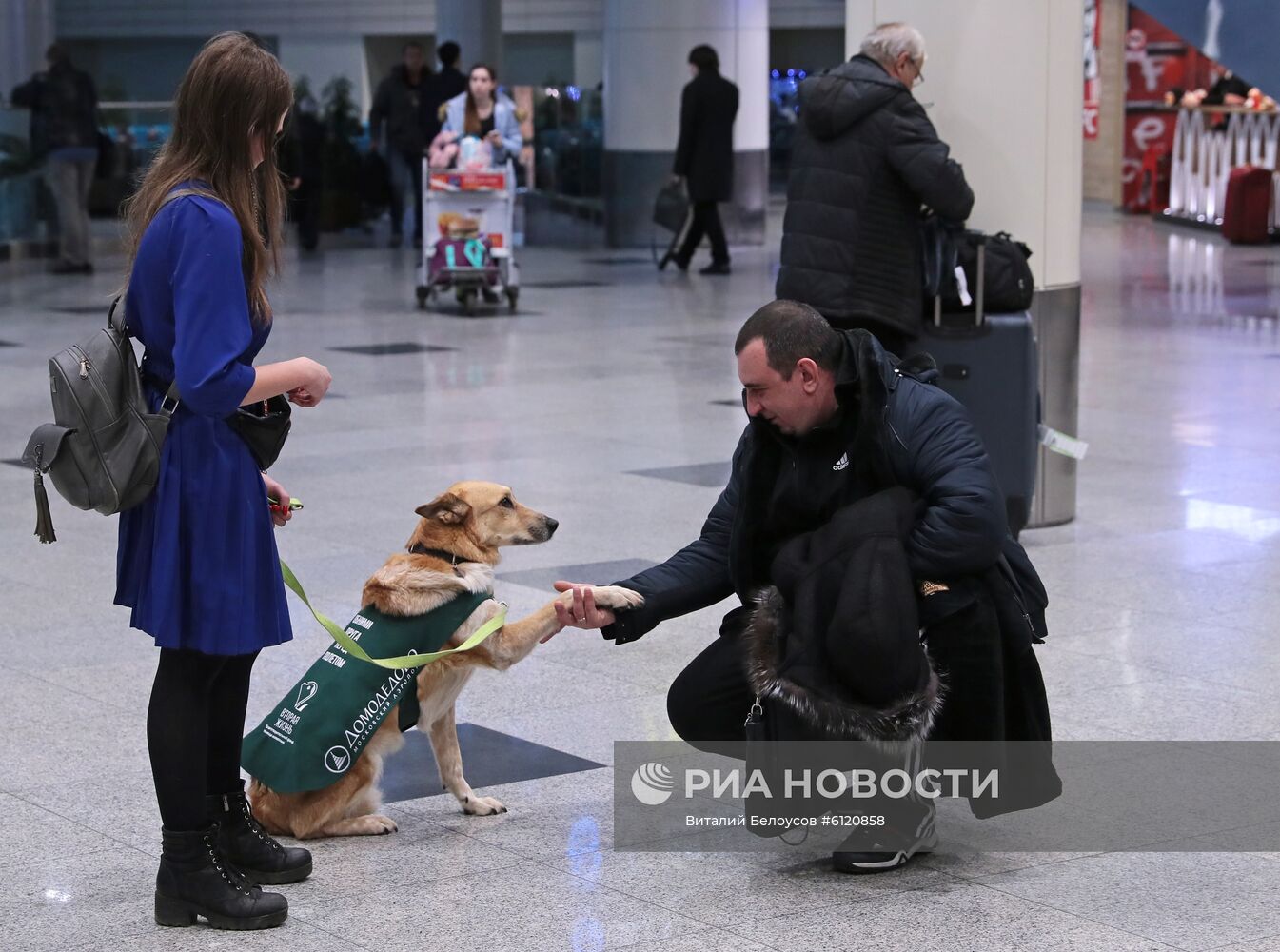 Акция "Обними друга перед полетом" в Домодедово