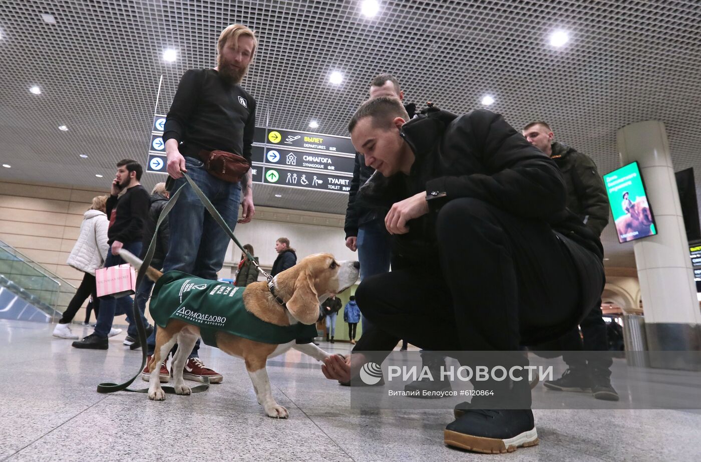 Акция "Обними друга перед полетом" в Домодедово