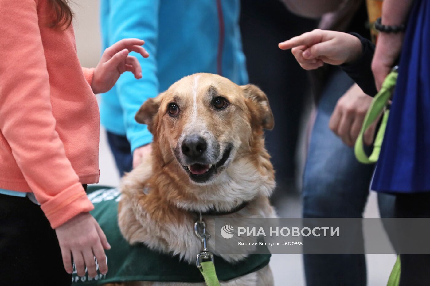 Акция "Обними друга перед полетом" в Домодедово