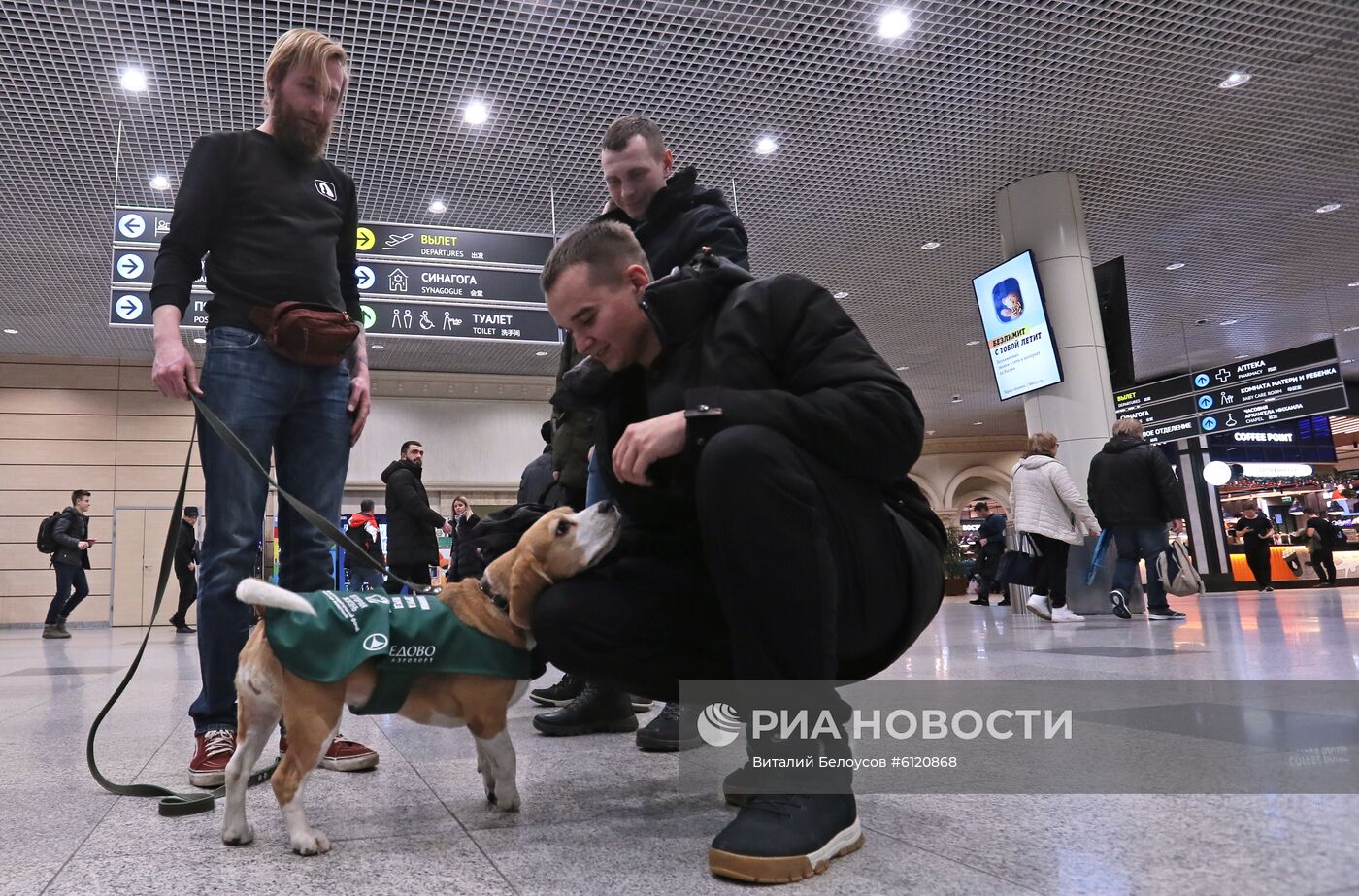 Акция "Обними друга перед полетом" в Домодедово