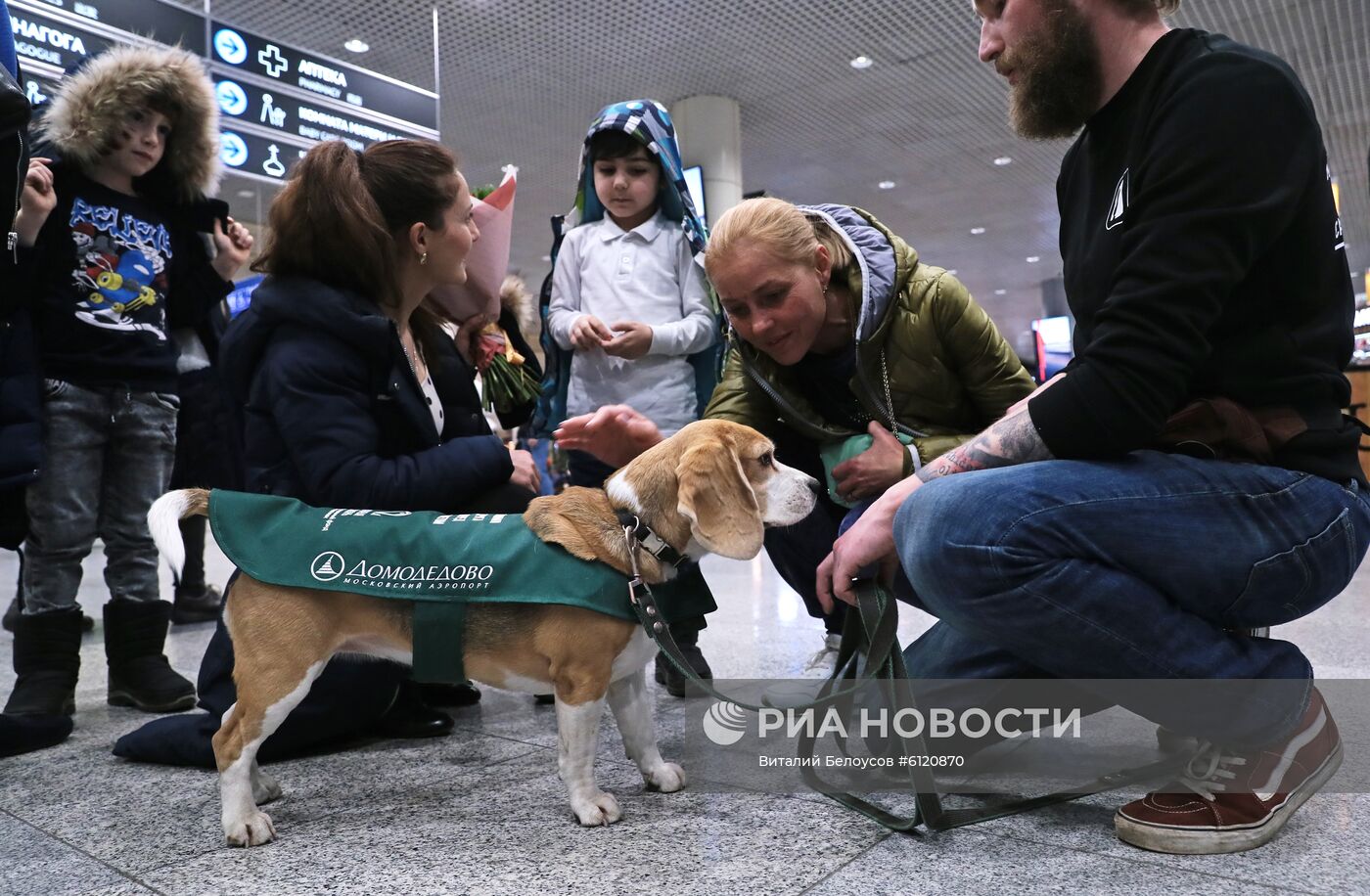 Акция "Обними друга перед полетом" в Домодедово