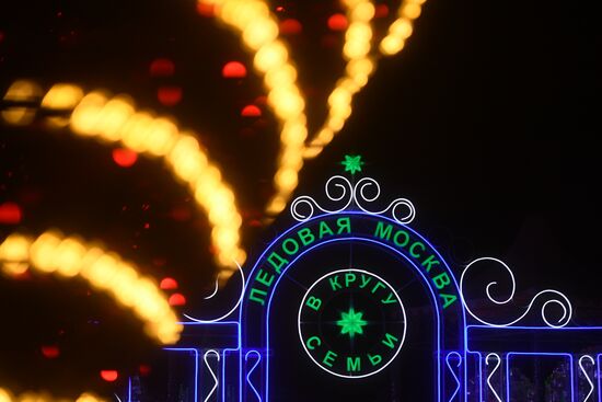 Фестиваль скульптур "Ледовая Москва. В кругу семьи"