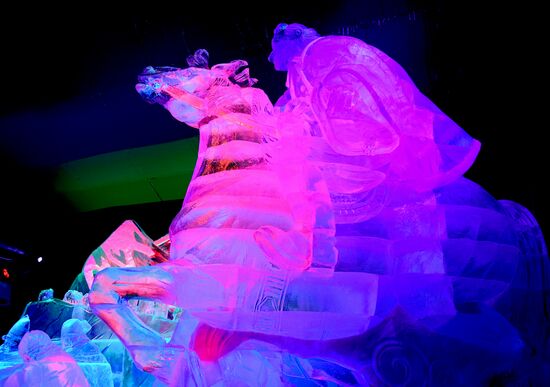 Фестиваль скульптур "Ледовая Москва. В кругу семьи"