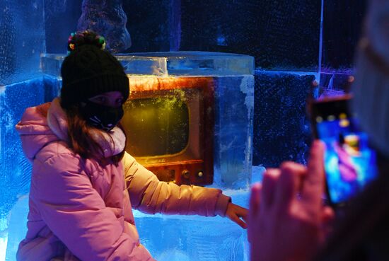 Фестиваль скульптур "Ледовая Москва. В кругу семьи"