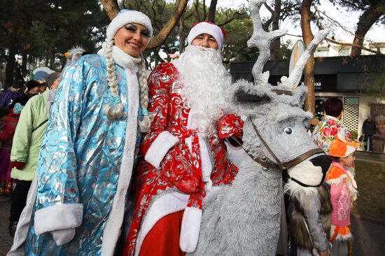 Новогодний костюмированный карнавал в Геленджике