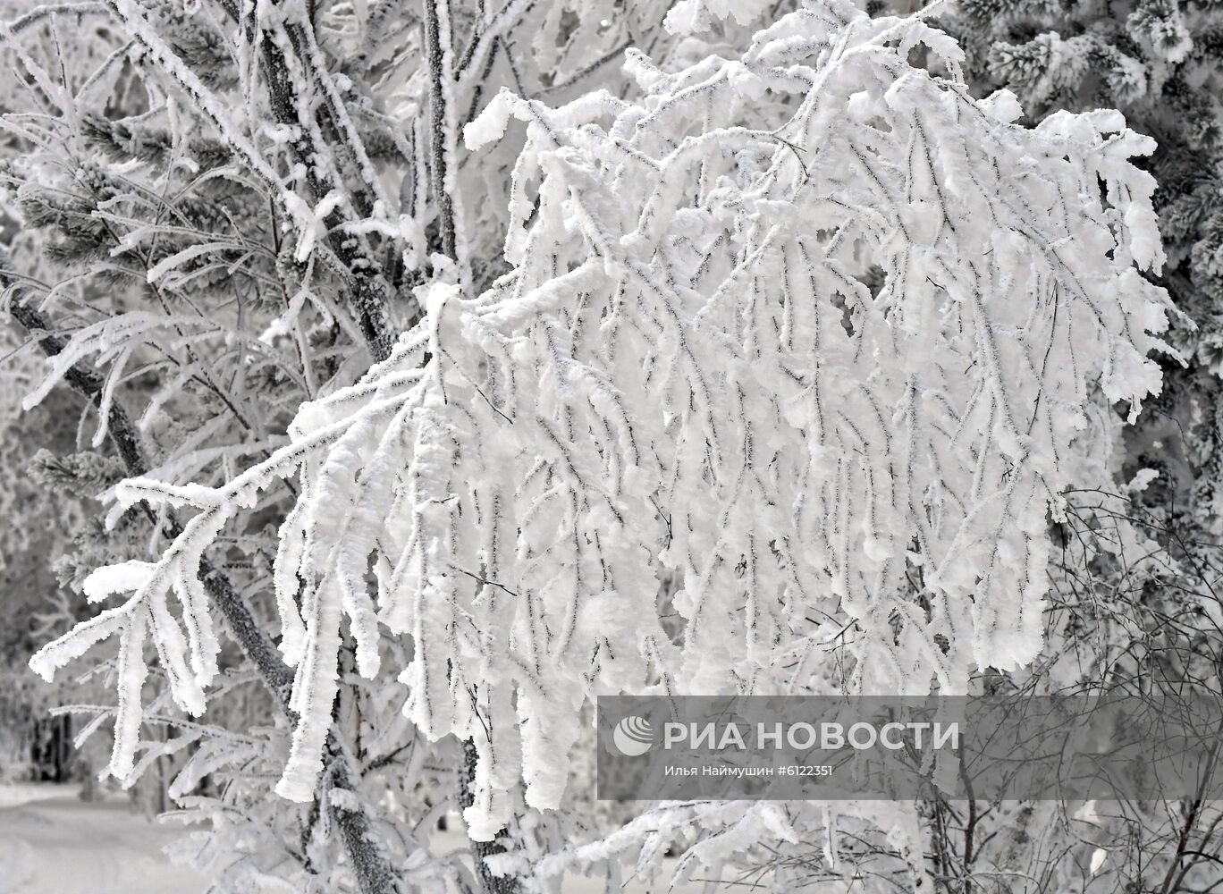 Мороз в Красноярском крае