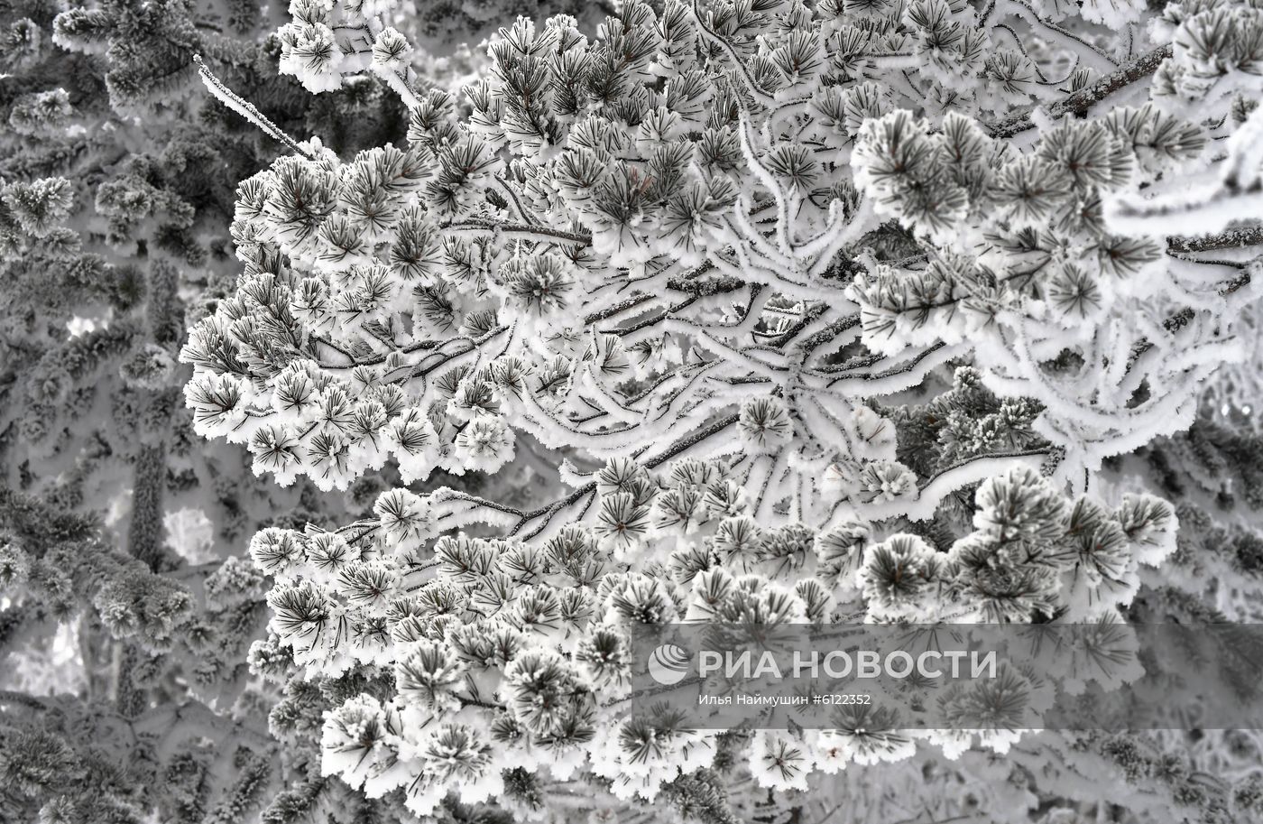 Мороз в Красноярском крае