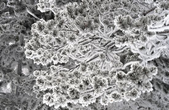 Мороз в Красноярском крае