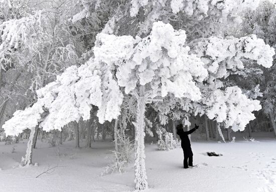 Мороз в Красноярском крае