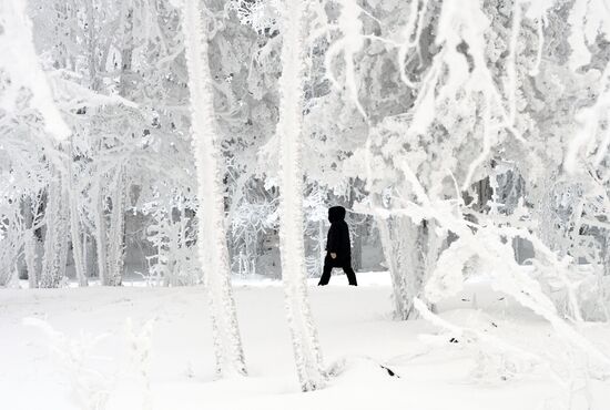Мороз в Красноярском крае