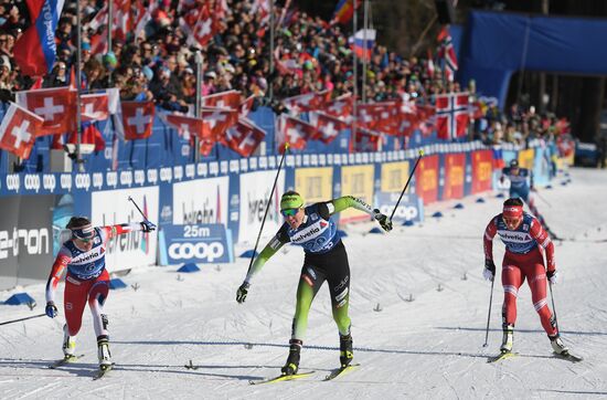 Лыжные гонки. Тур де Ски. Женщины. Спринт