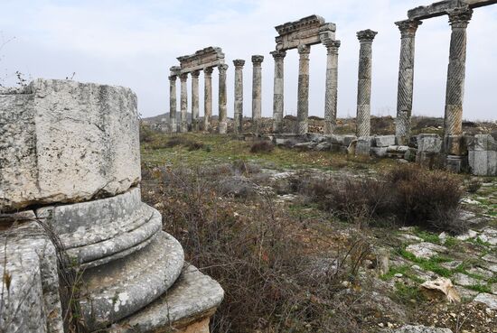 Древний город Афамия в Сирии