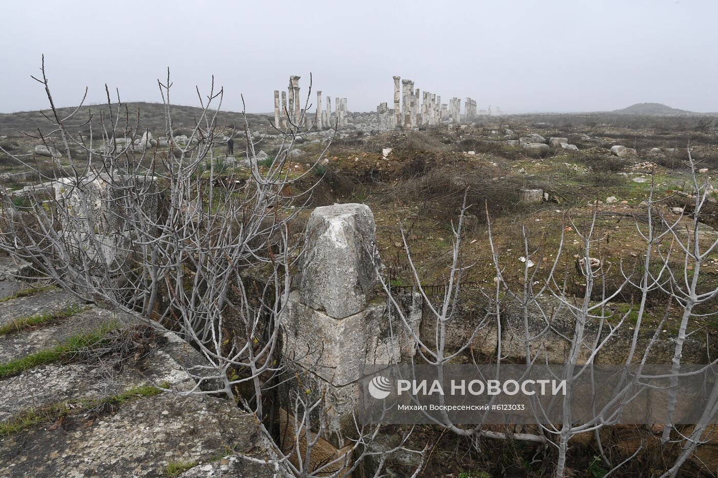 Древний город Афамия в Сирии