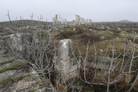 Древний город Афамия в Сирии