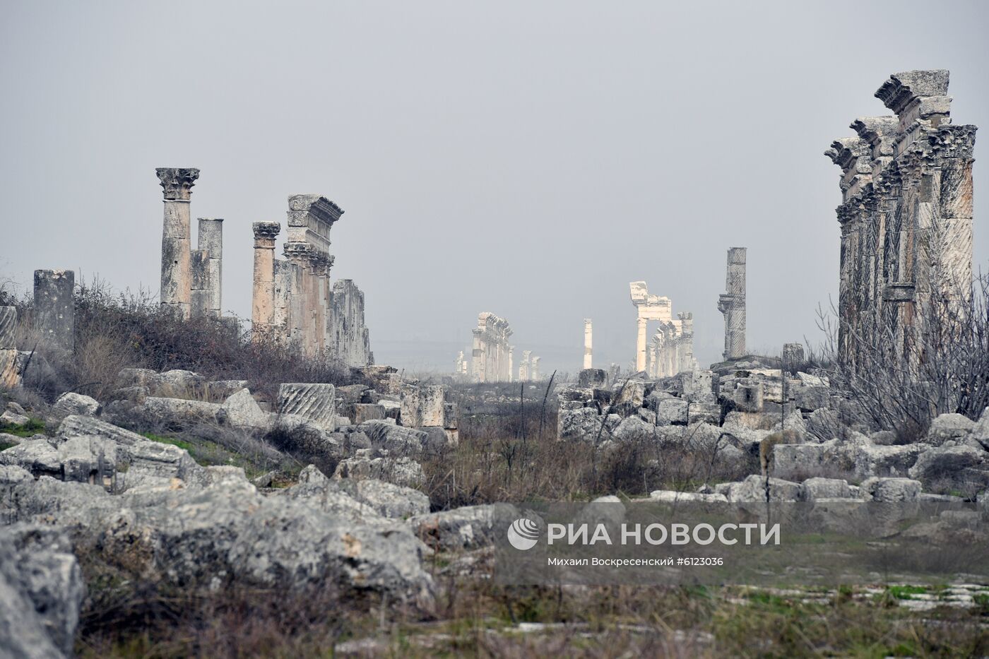 Древний город Афамия в Сирии