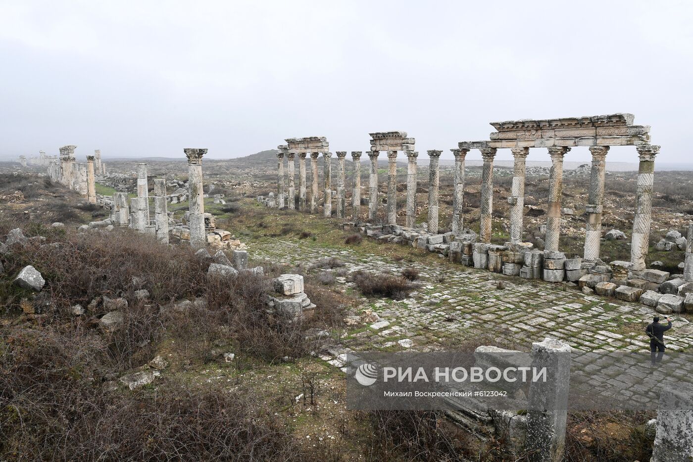 Древний город Афамия в Сирии