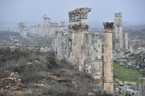 Древний город Афамия в Сирии