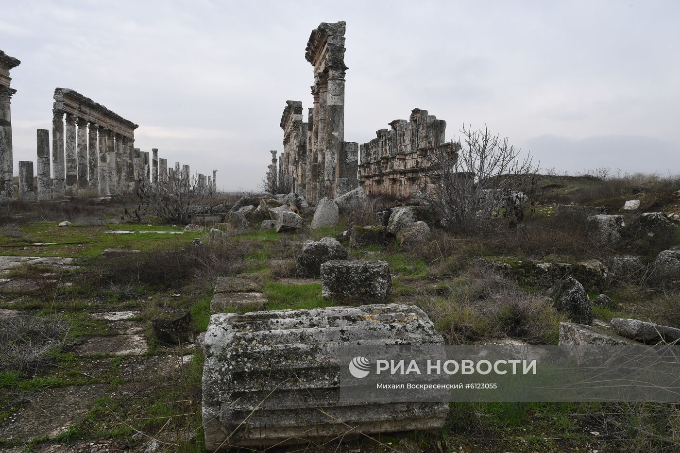 Древний город Афамия в Сирии