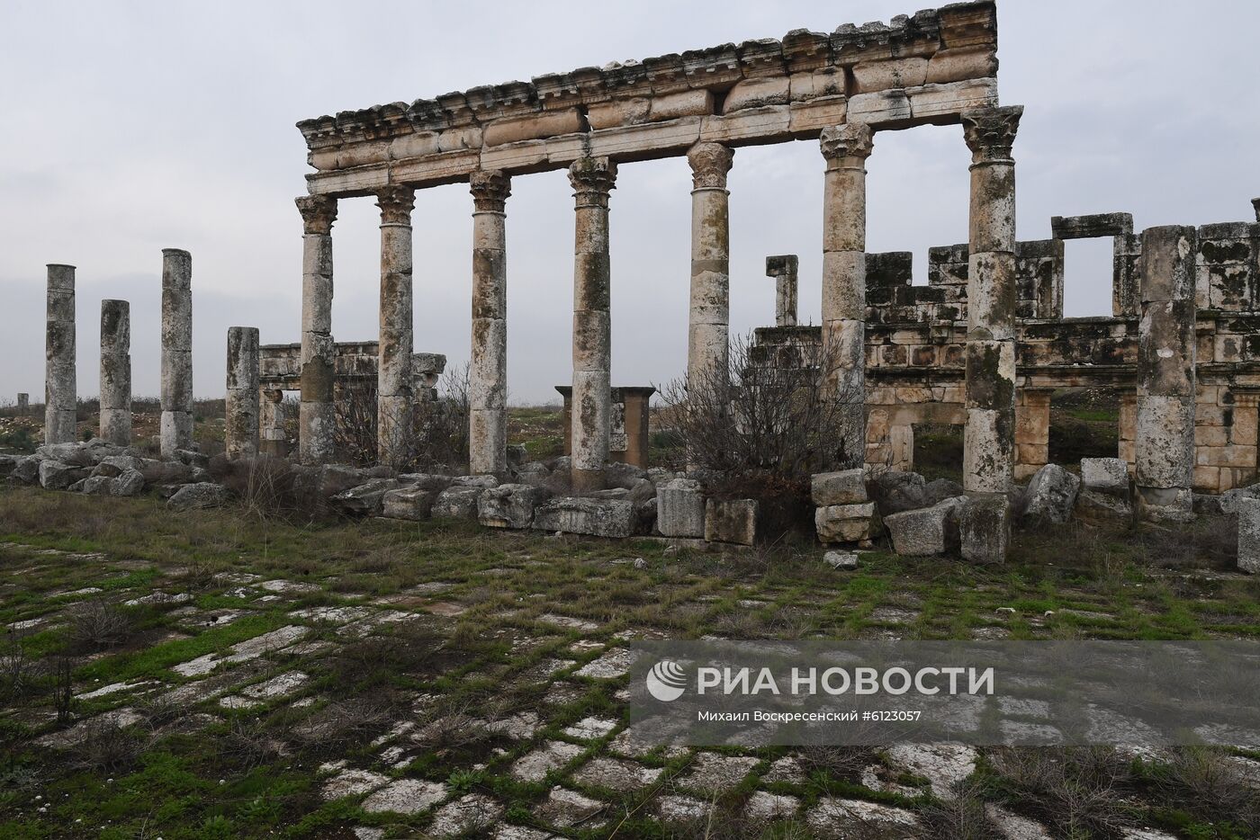 Древний город Афамия в Сирии