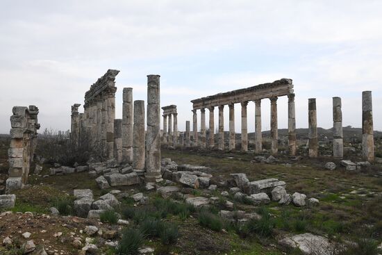 Древний город Афамия в Сирии