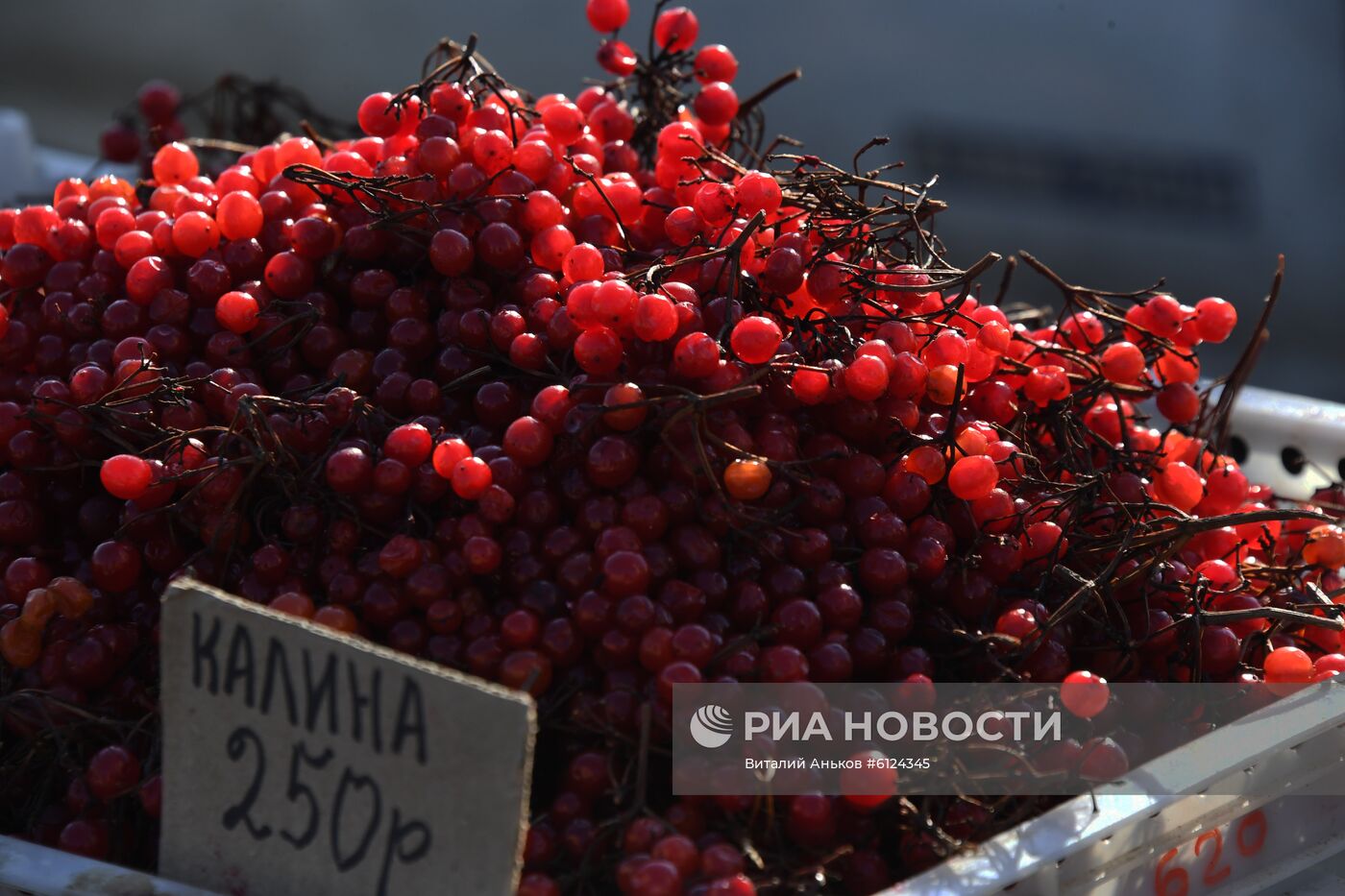 Рождественская продовольственная ярмарка в Приморье
