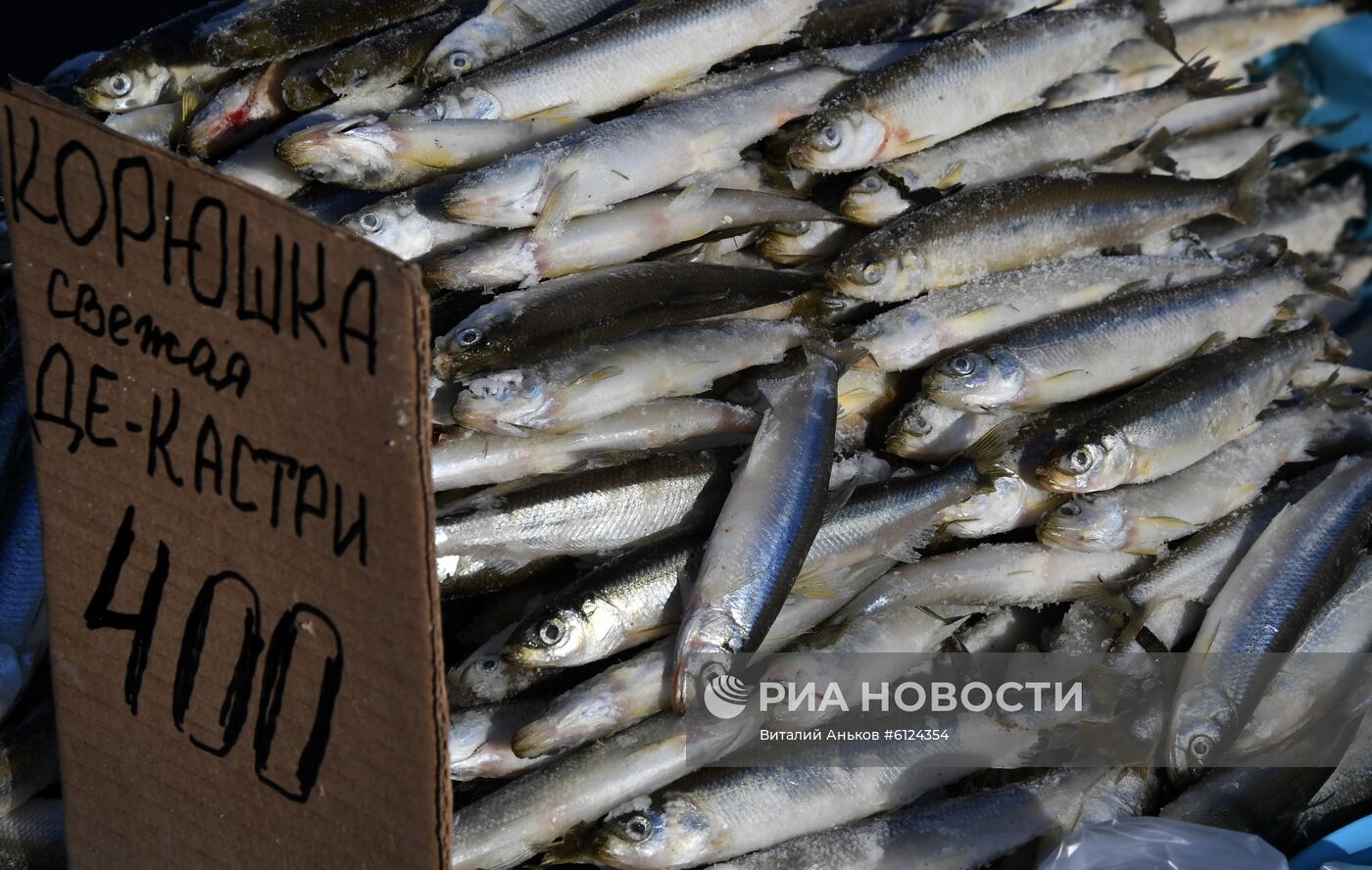 Рождественская продовольственная ярмарка в Приморье